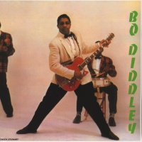 Bo Diddley - Bo Diddley VINYL LP WLV82041