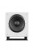 Wharfedale SW-10 Subwoofer