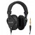 Beyerdynamic DT 250 80 Ohm Headphones