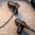 Klipsch R-5 Wireless Earphones