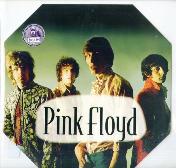 Pink Floyd - Pink Floyd VINYL LP AR049