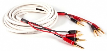 Black Rhodium Jive Speaker Cable