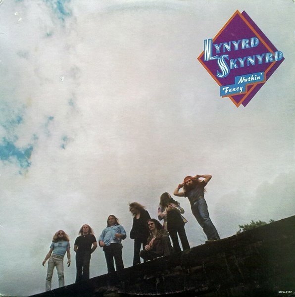 Lynyrd Skynyrd Nuthin' Fancy Vinyl LP Analogue Seduction