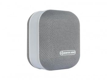 Monitor Audio MASS Satellite Speaker