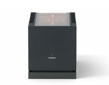 Brinkmann Mono Monaural Power Amplifier (Pair)