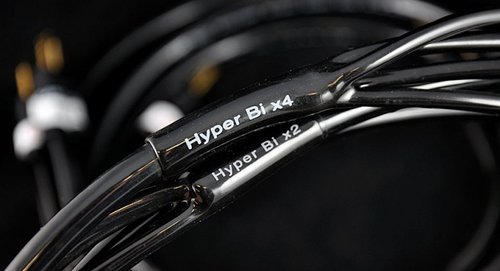 Atlas Hyper Bi-Wire Speaker Cable (Unterminated)