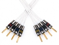 QED Silver Anniversary XT Bi-Wire Speaker Cable (Terminated)