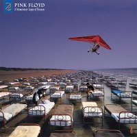 Pink Floyd - A Momentary Lapse Of Reason VINYL LP PFRLP37