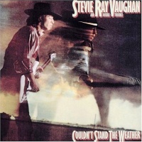 Stevie Ray Vaughan And Double Trouble - Couldn't Stand The Weather VINYL LP PPAN39304