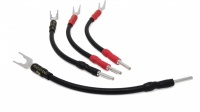 Chord Company Signature Speaker Jumper Links (With New Ohmic Plugs) Set of 4