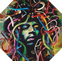 The Jimi Hendrix Experience BOX SET 8LP + EXTRAS VINYL LP