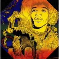 Jimi Hendrix - The Big Hits VINYL LP AR023