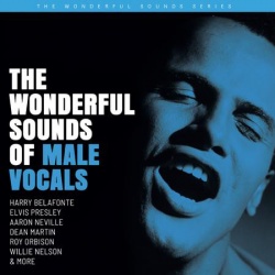 The Wonderful Sounds Of Male Vocals Limited Edition 2x Vinyl LP APP131