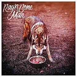 Rag 'n' Bone Man - Wolves VINYL LP 88985399471
